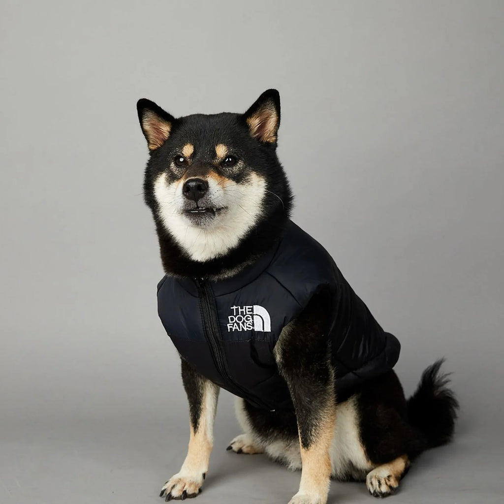 Warm Cotton Dog Winter Jacket – Windproof & Waterproof Coat