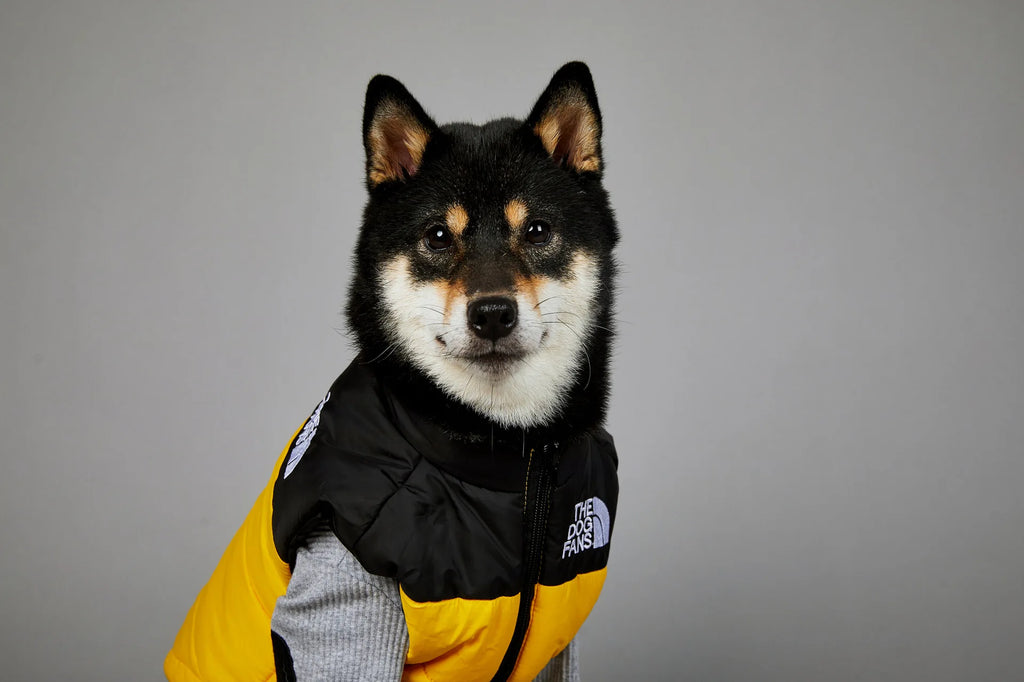 Warm Cotton Dog Winter Jacket – Windproof & Waterproof Coat