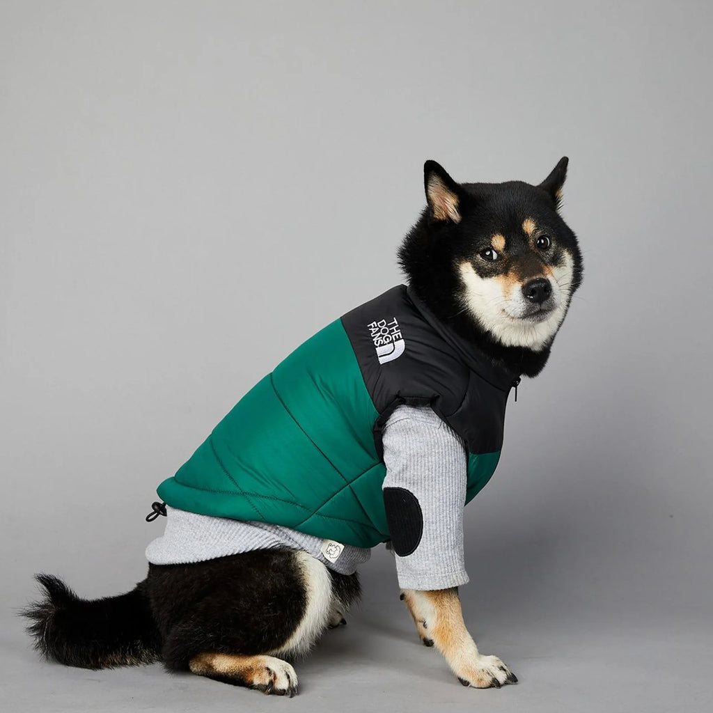 Warm Cotton Dog Winter Jacket – Windproof & Waterproof Coat
