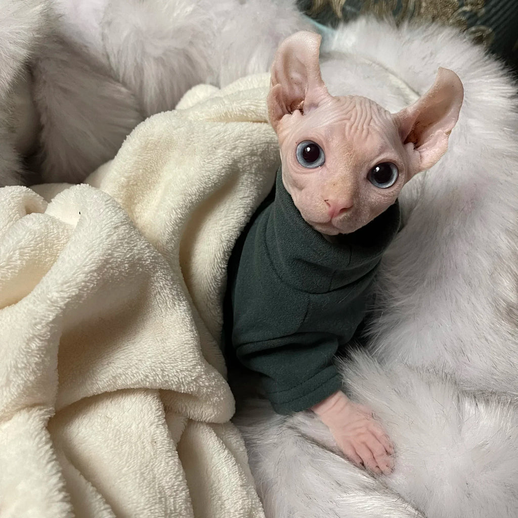 Soft Cotton Hoodie for Sphynx Cats & Small Dogs