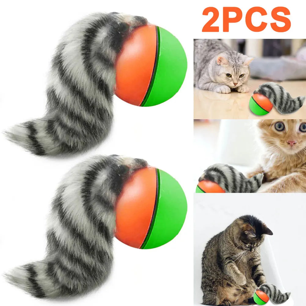 Cat Interactive Rolling Ball USB Rechargeable Toy