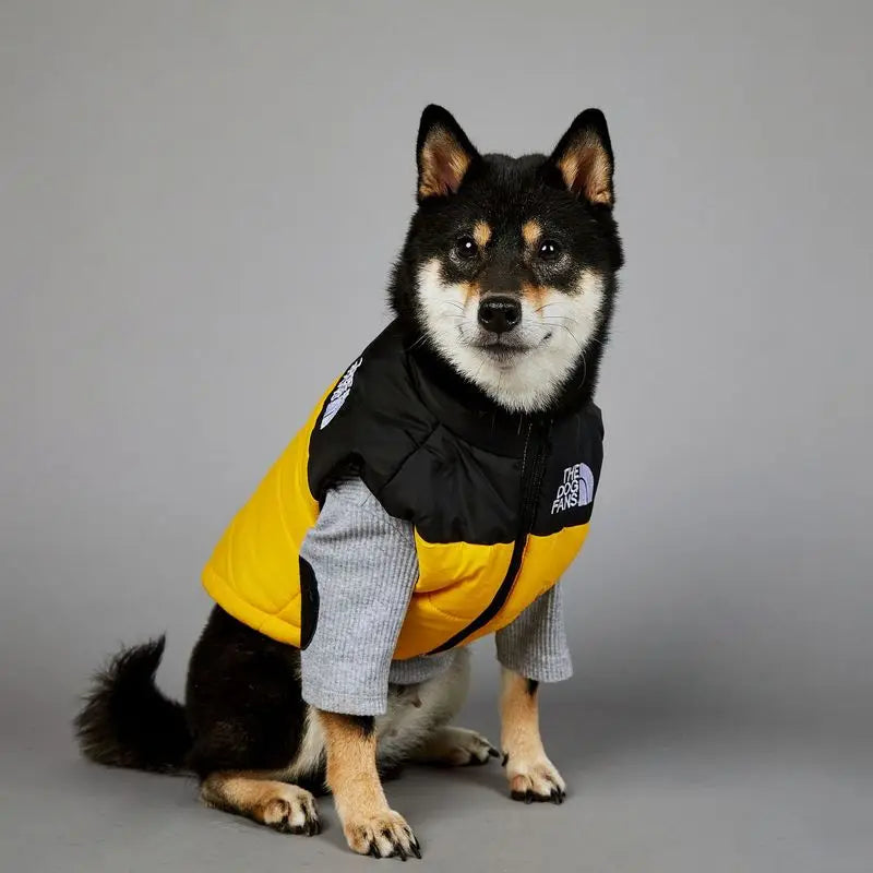 Warm Cotton Dog Winter Jacket – Windproof & Waterproof Coat