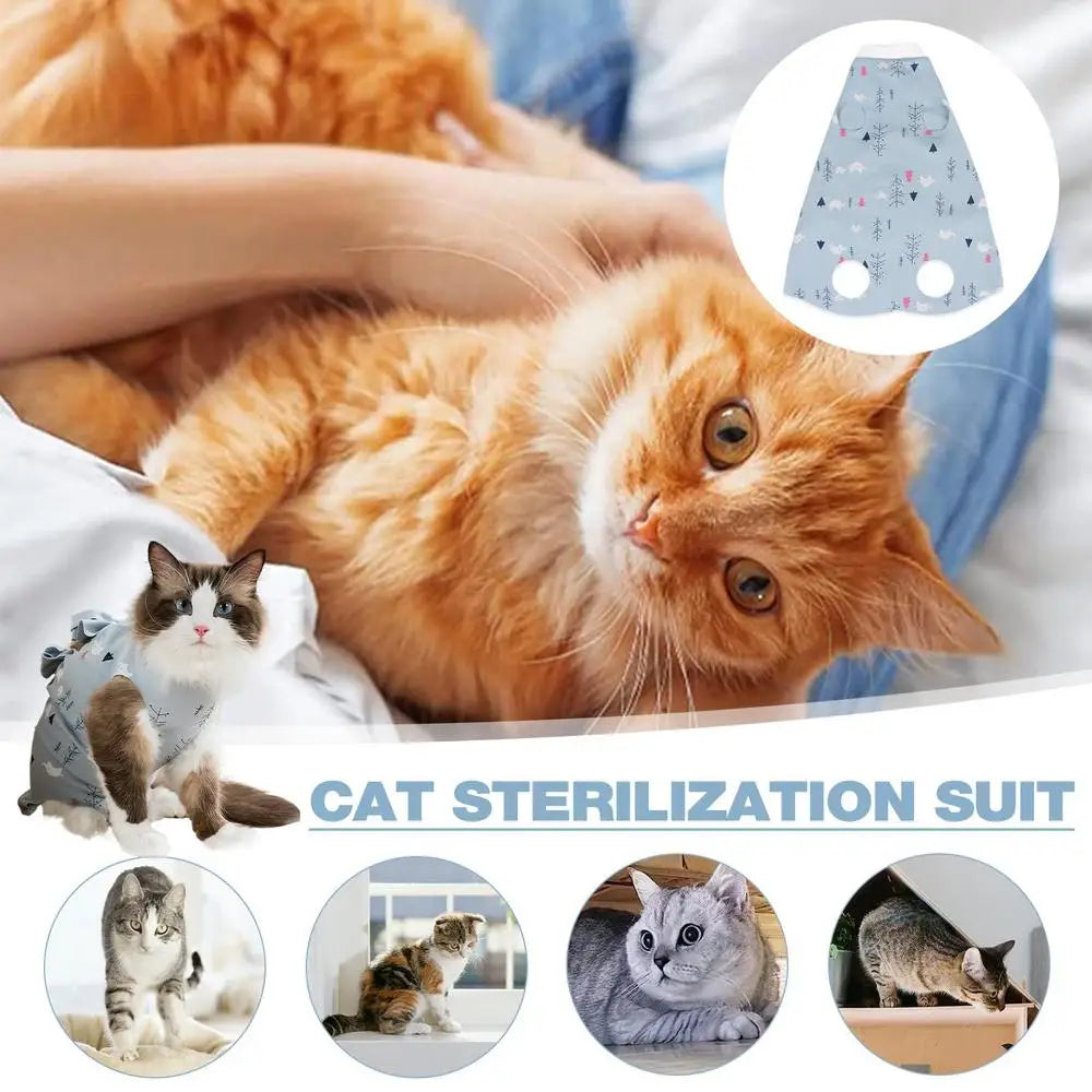 Cat Recovery Suit – Anti-Licking Bodysuit