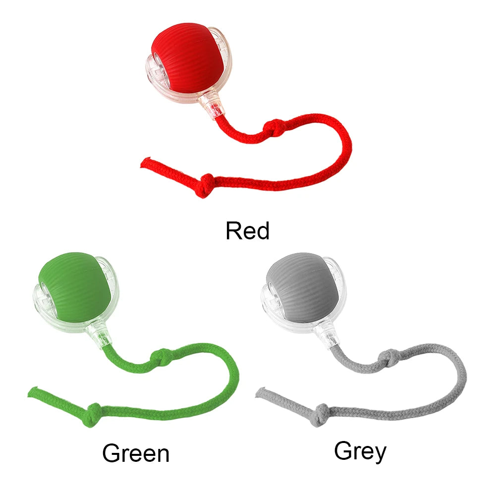 Cat Interactive Rolling Ball USB Rechargeable Toy