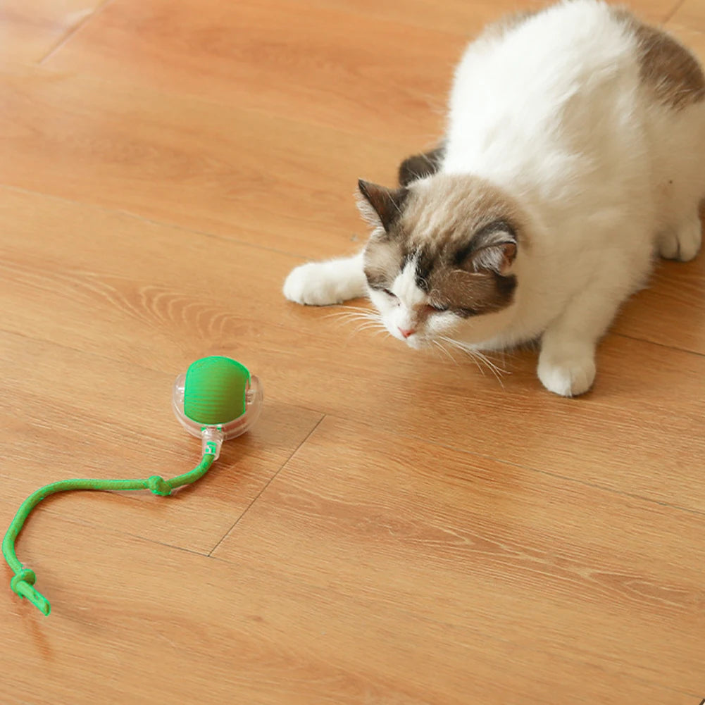 Cat Interactive Rolling Ball USB Rechargeable Toy
