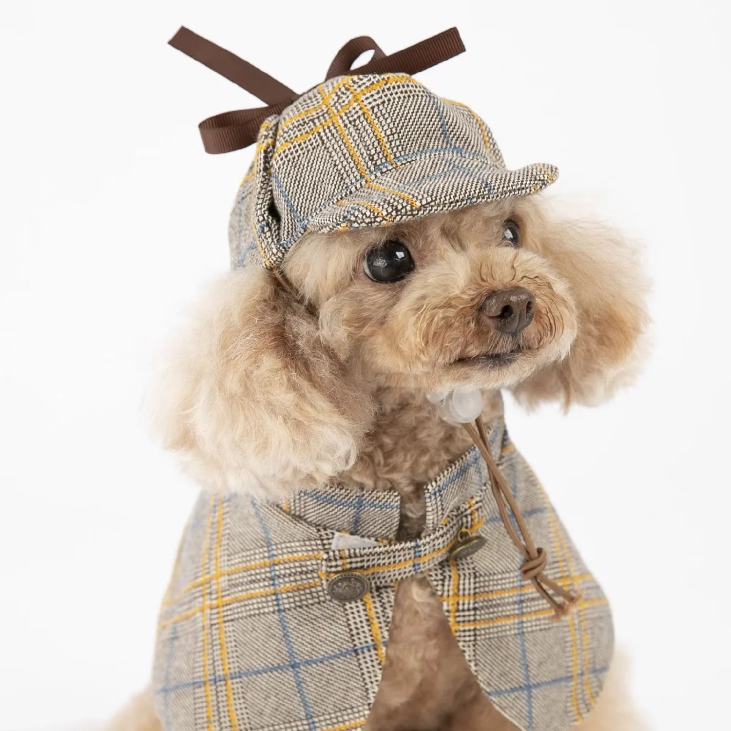 Winter Detective Outfit for Dogs