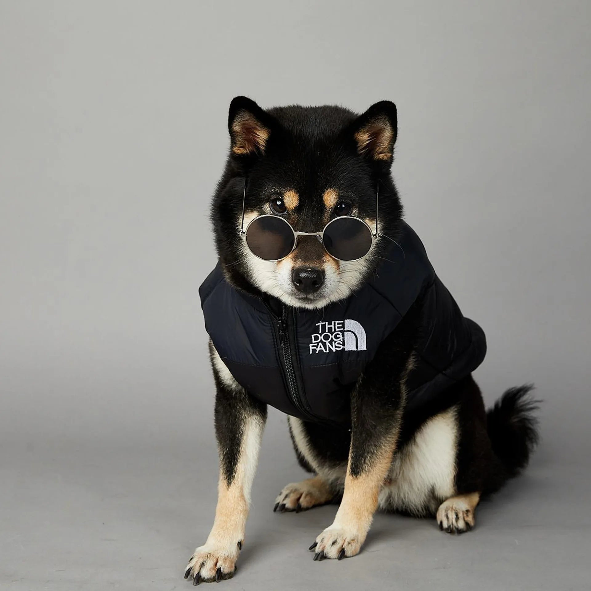 Warm Cotton Dog Winter Jacket – Windproof & Waterproof Coat