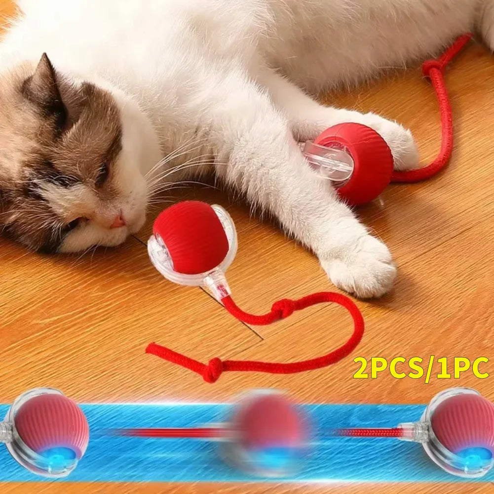 Cat Interactive Rolling Ball USB Rechargeable Toy