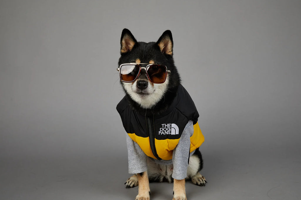 Warm Cotton Dog Winter Jacket – Windproof & Waterproof Coat