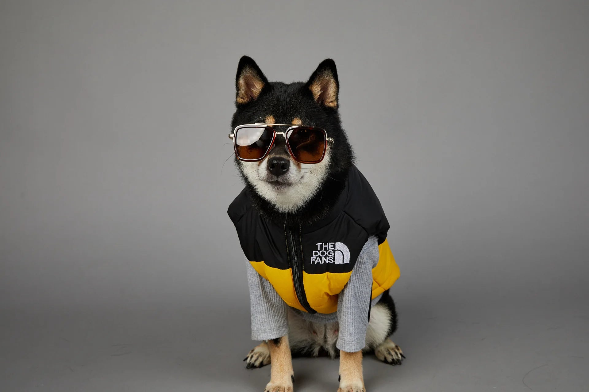 Warm Cotton Dog Winter Jacket – Windproof & Waterproof Coat