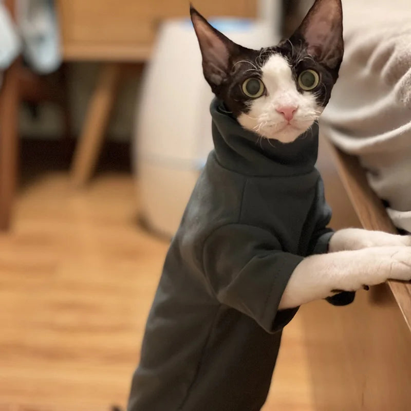 Soft Cotton Hoodie for Sphynx Cats & Small Dogs
