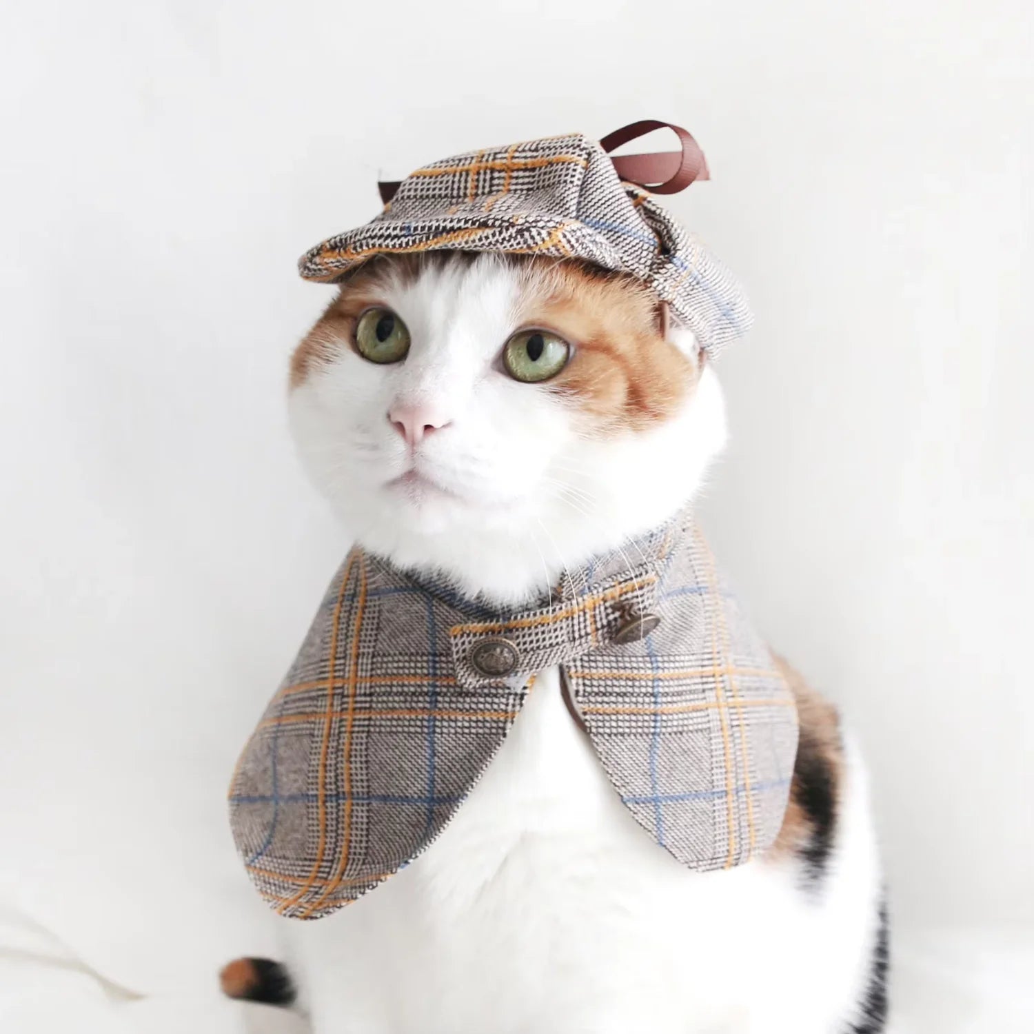 Winter Detective Outfit for Dogs