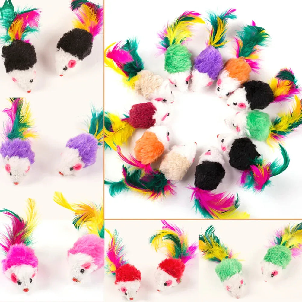 10 Pcs Plush Cat Mouse Toys Kitten Interactive Play - Veloro