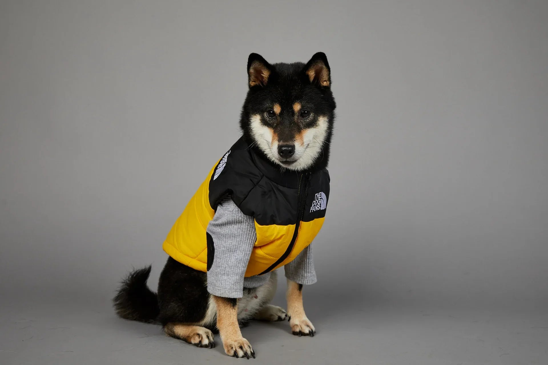 Warm Cotton Dog Winter Jacket – Windproof & Waterproof Coat