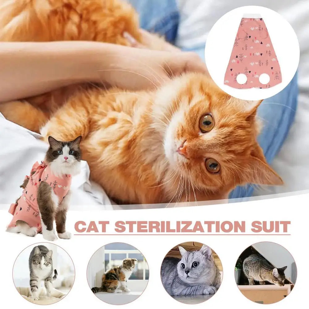 Cat Recovery Suit – Anti-Licking Bodysuit