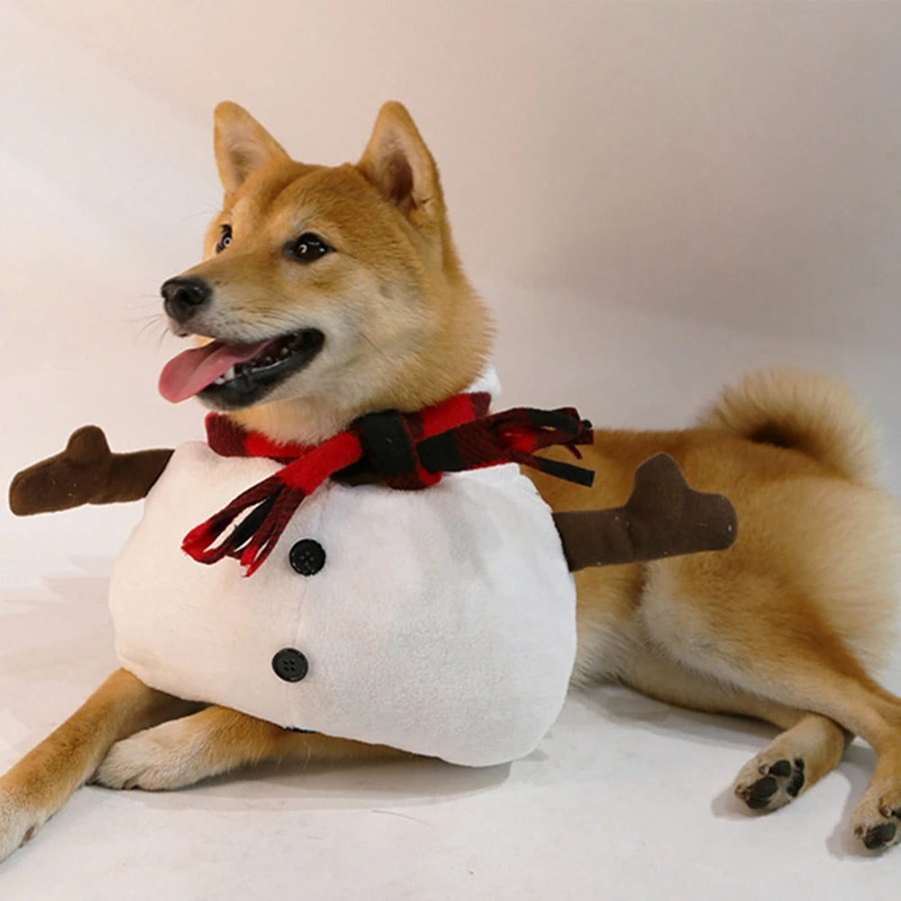 Snowman Dog Costume for Small & Medium Dogs