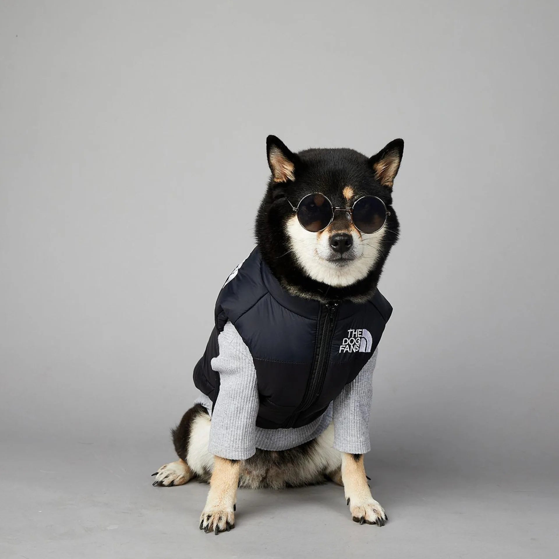 Warm Cotton Dog Winter Jacket – Windproof & Waterproof Coat