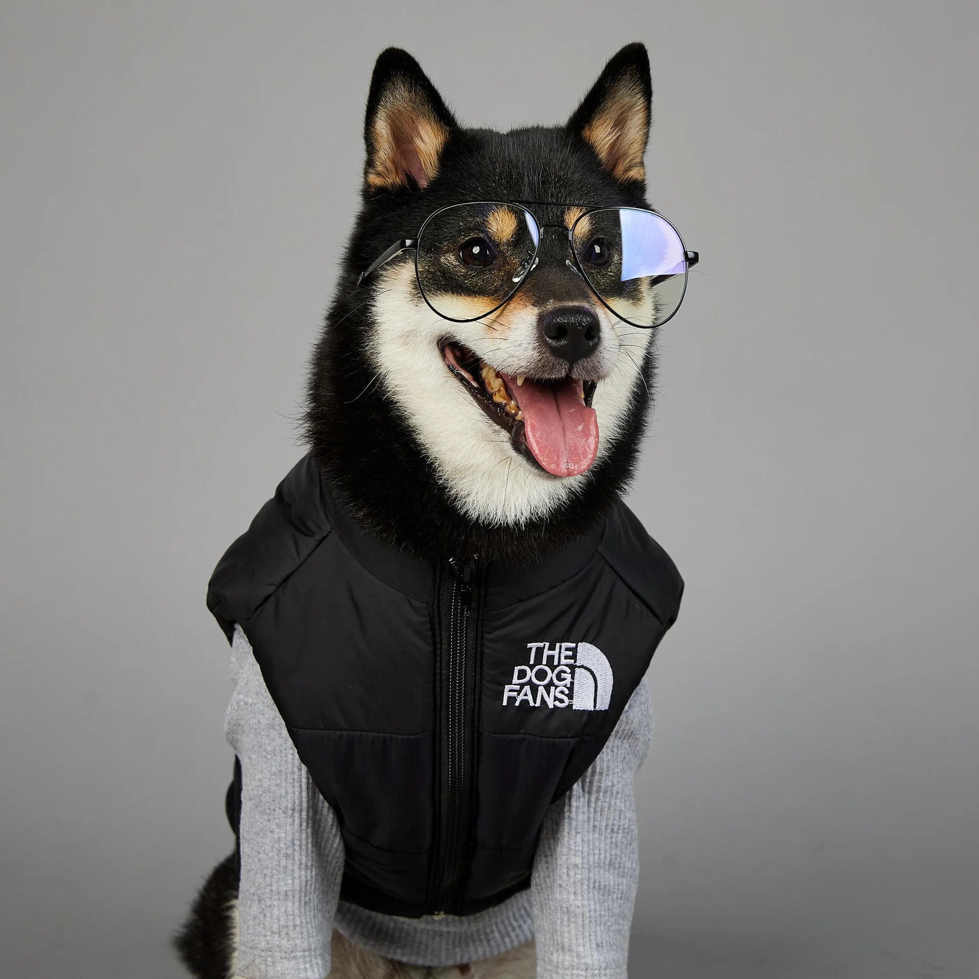 Warm Cotton Dog Winter Jacket – Windproof & Waterproof Coat