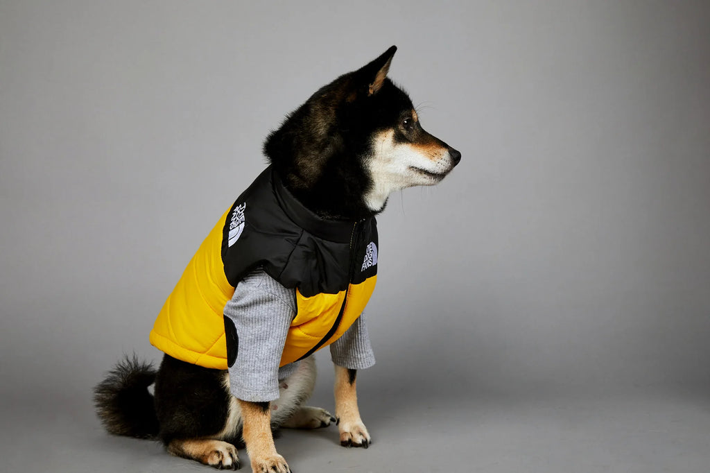 Warm Cotton Dog Winter Jacket – Windproof & Waterproof Coat