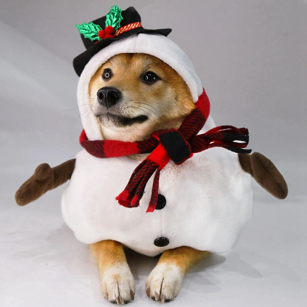 Snowman Dog Costume for Small & Medium Dogs