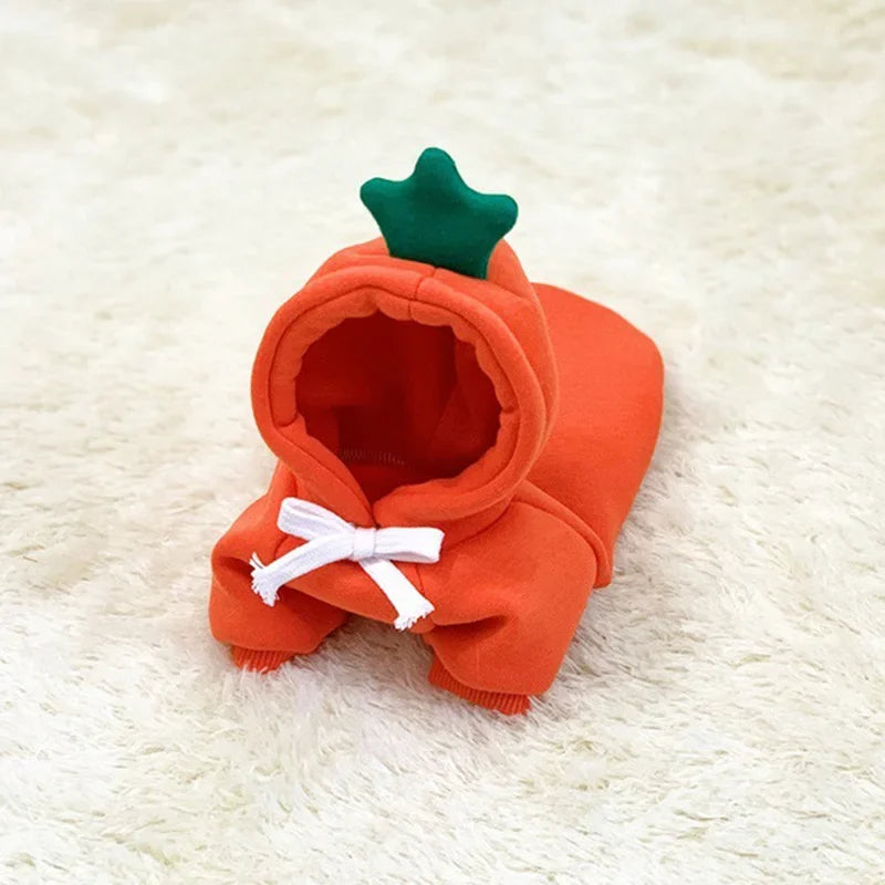 Winter Hoodie Sweater for Cats & Small Dogs