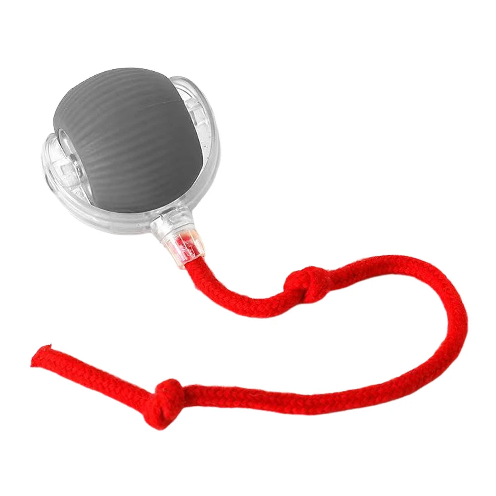 Cat Interactive Rolling Ball USB Rechargeable Toy