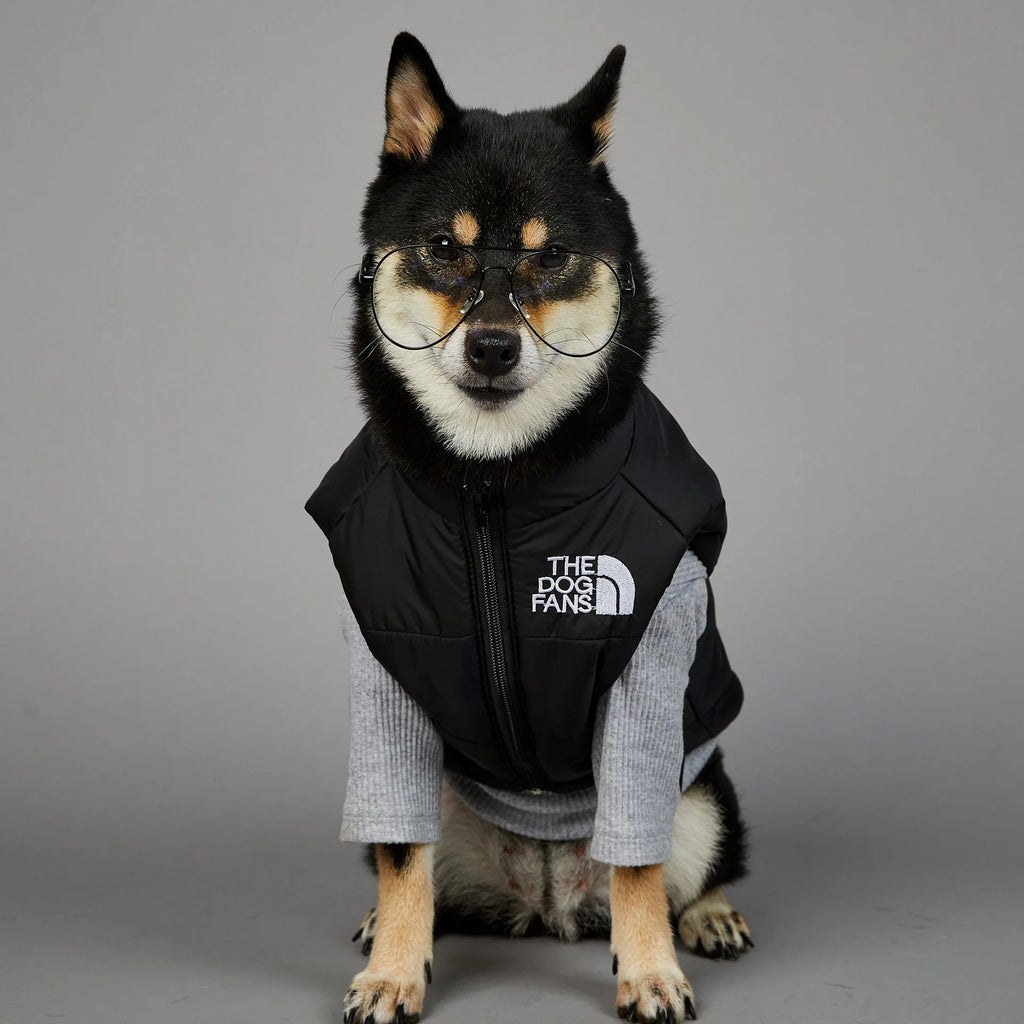 Warm Cotton Dog Winter Jacket – Windproof & Waterproof Coat