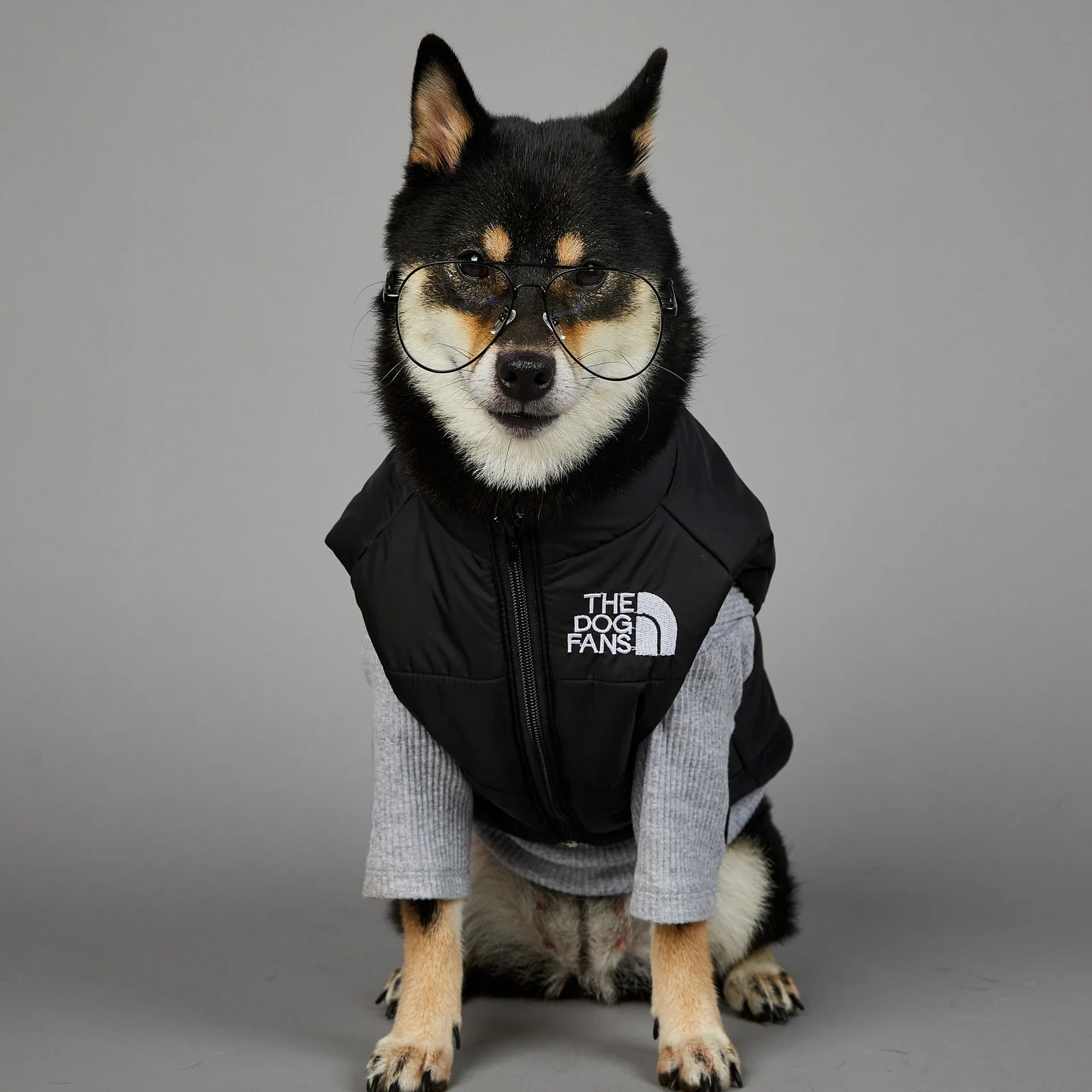 Warm Cotton Dog Winter Jacket – Windproof & Waterproof Coat