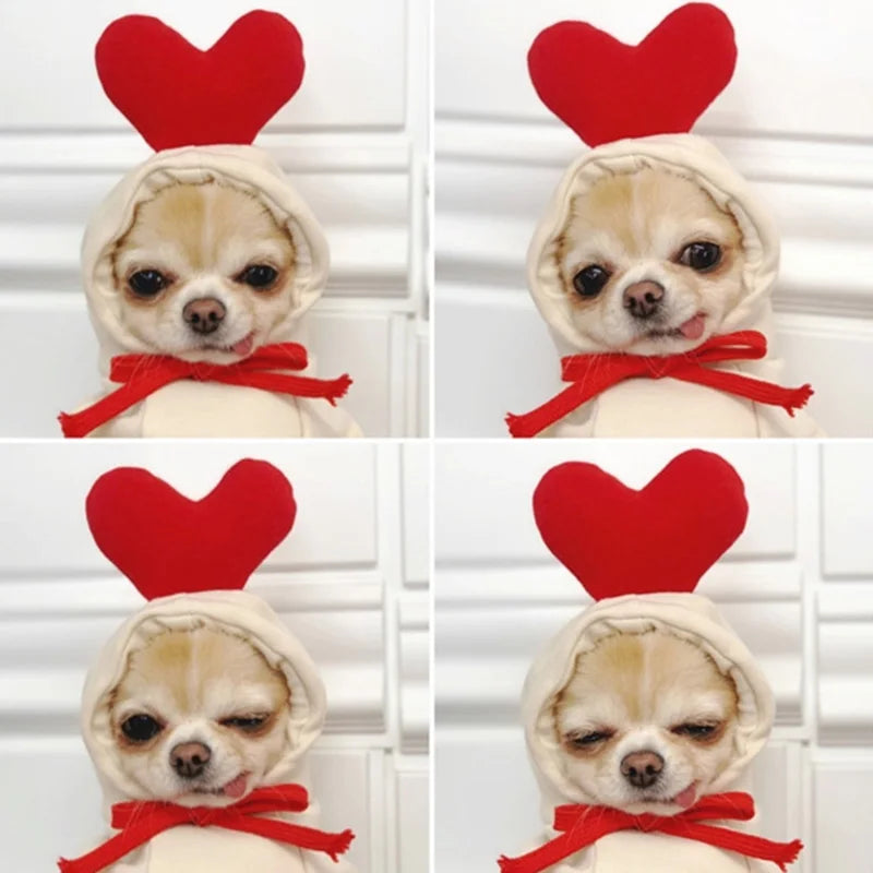 Winter Hoodie Sweater for Cats & Small Dogs