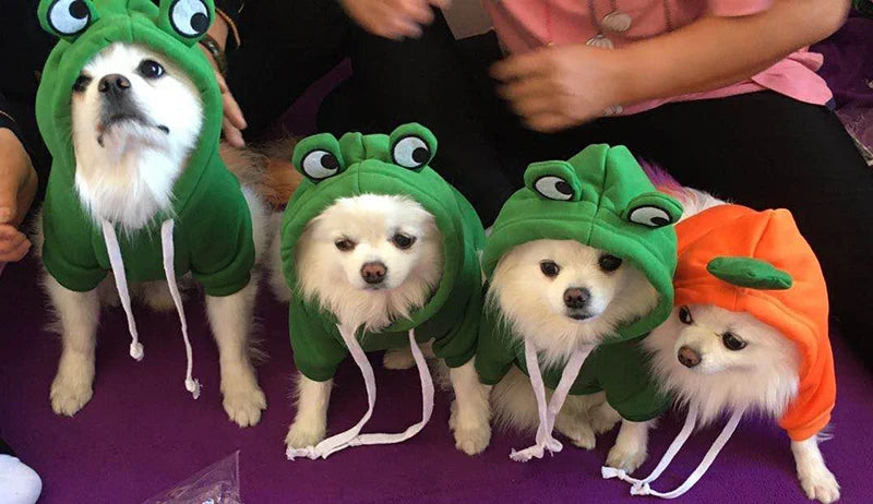 Winter Hoodie Sweater for Cats & Small Dogs