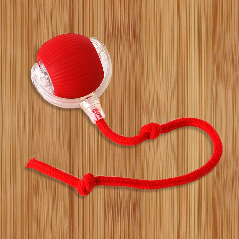 Cat Interactive Rolling Ball USB Rechargeable Toy