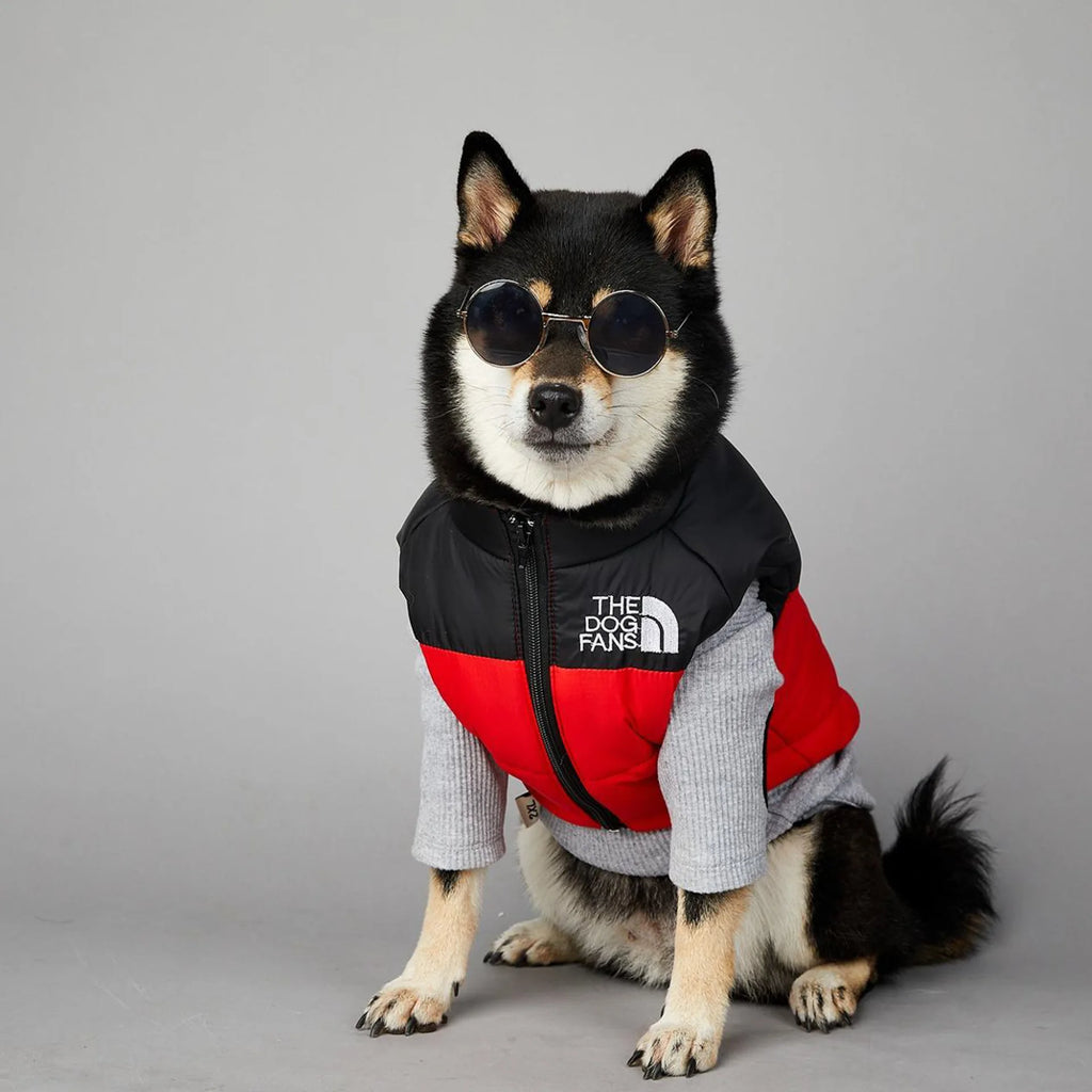 Warm Cotton Dog Winter Jacket – Windproof & Waterproof Coat