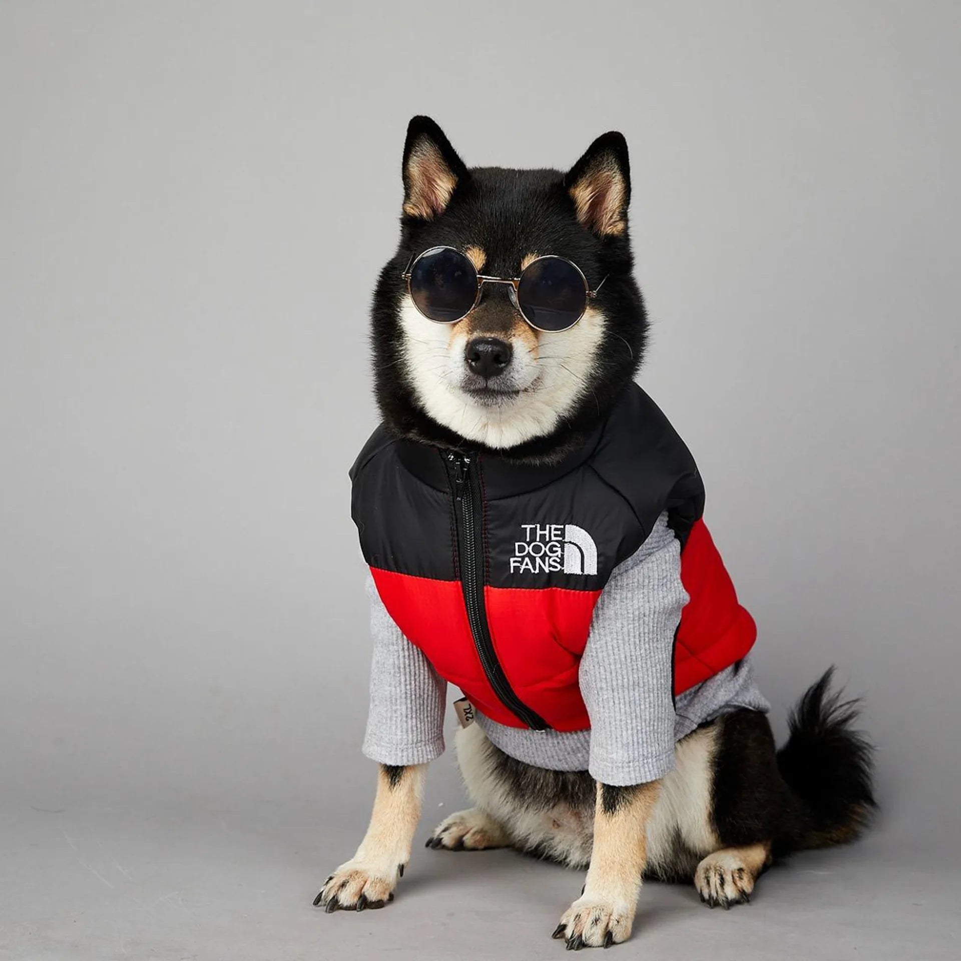 Warm Cotton Dog Winter Jacket – Windproof & Waterproof Coat