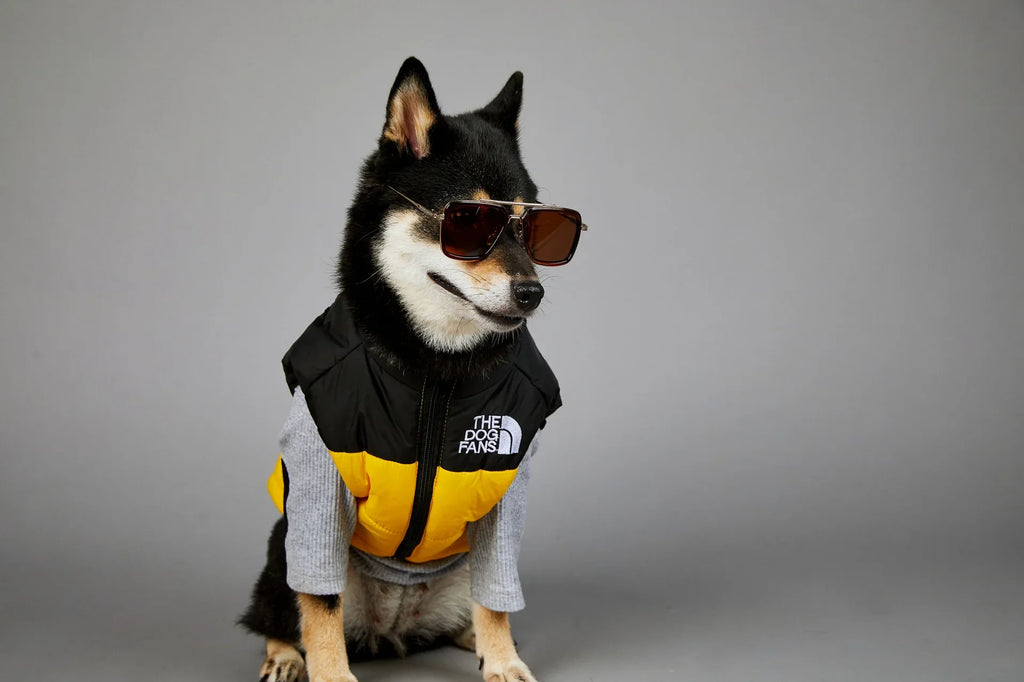 Warm Cotton Dog Winter Jacket – Windproof & Waterproof Coat