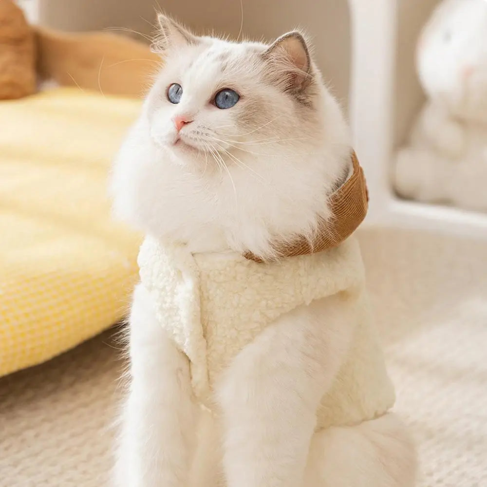 Boy Dog Sweater Winter Coat with Hat for Small Dogs